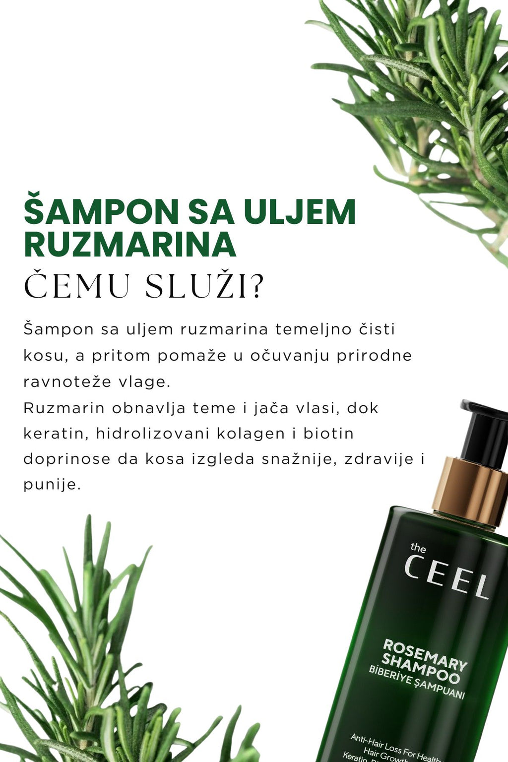 Ruzmarin šampon protiv opadanja kose i za jači koren