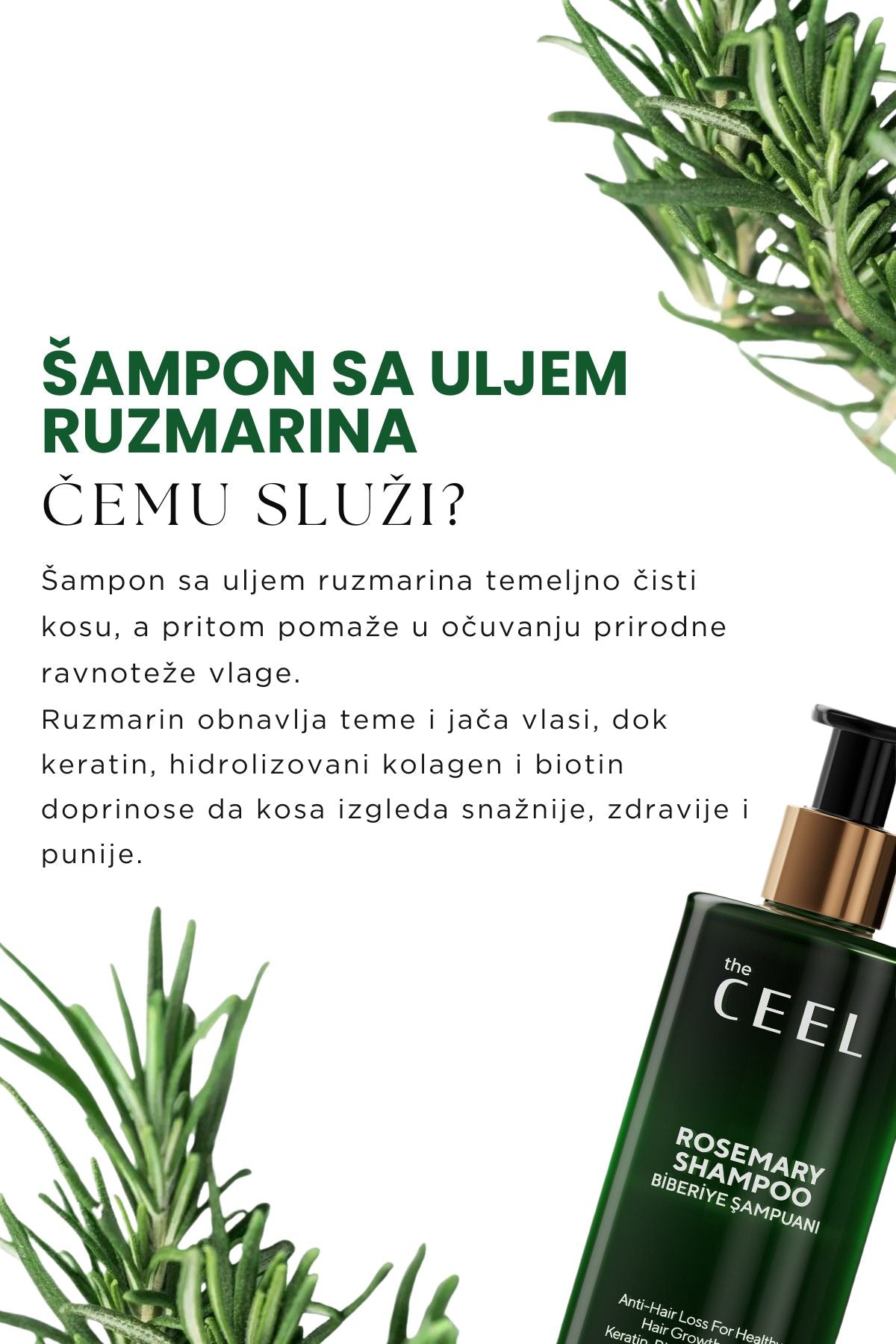 Ruzmarin šampon i ulje za jačanje i gušću kosu