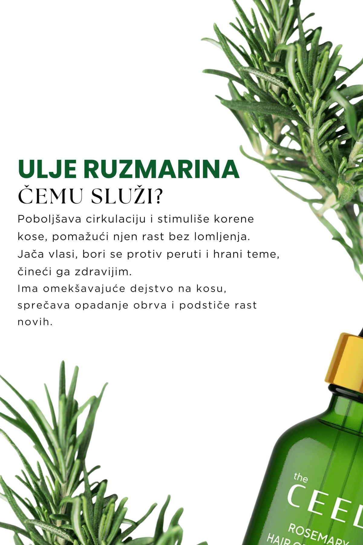 Ruzmarin set za rast i jačanje kose – kompletna nega